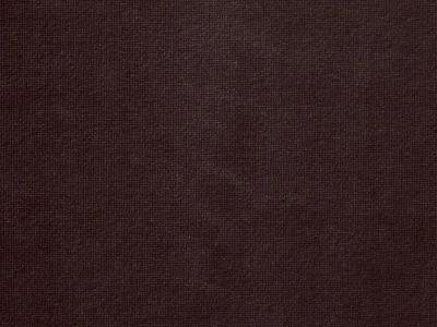 Velours Uni Eden 100% coton Houlès Prune 9820
