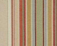Coton Raye Rimini F657-02