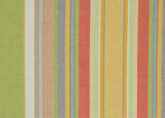 Coton Raye Rimini F657-04